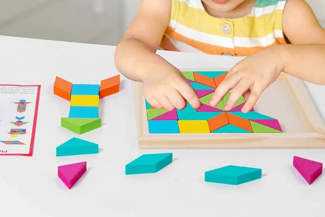 Montessori Geometric Shape Wooden Puzzle | Early Learning Jigsaw for Kids Aged 3-12 | Fun Educational Game